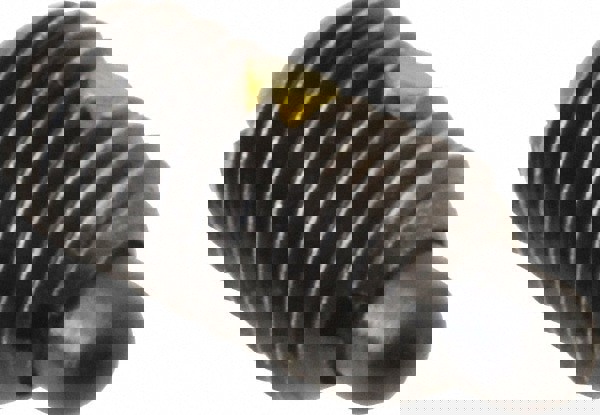 Threaded Spring Plunger: 3/8-16, 11/16